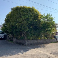 image1.jpeg